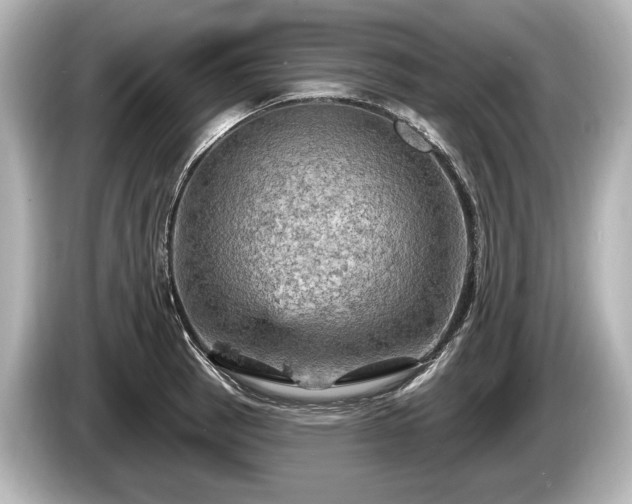 X0000085301137200703161429