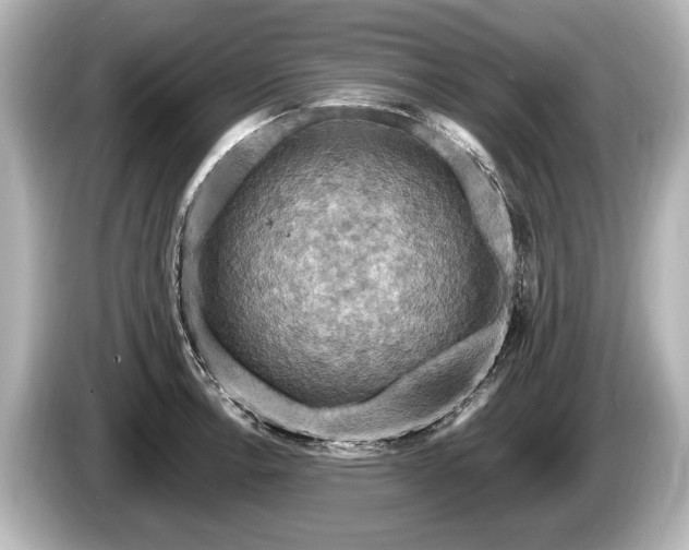 X0000085301138200703161429