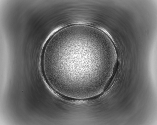 X0000085301139200703161429