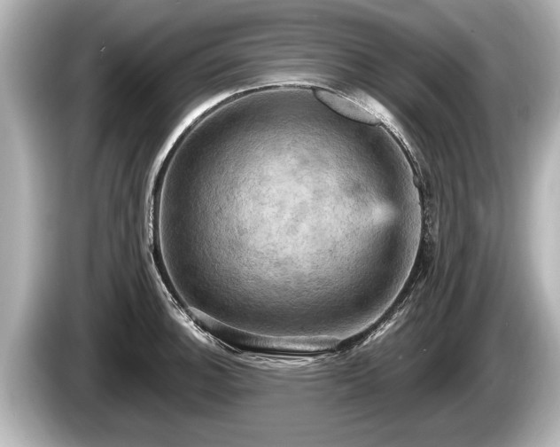 X0000085301140200703161429