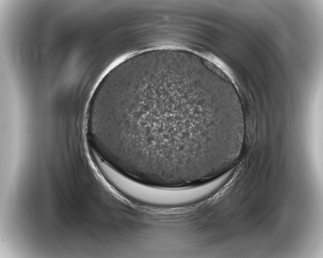 X0000085301142200703161429