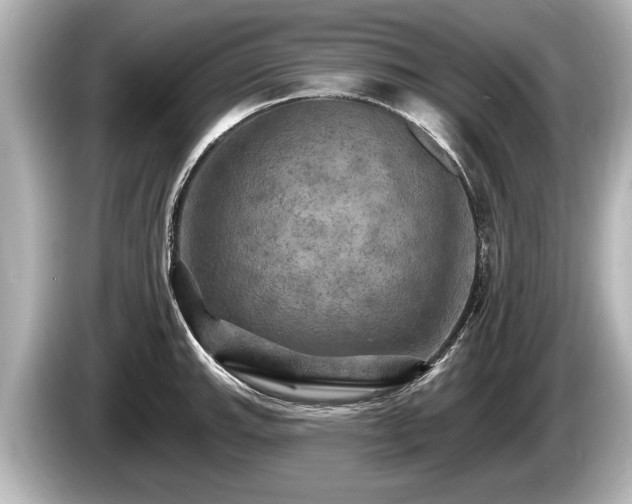 X0000085301143200703161429