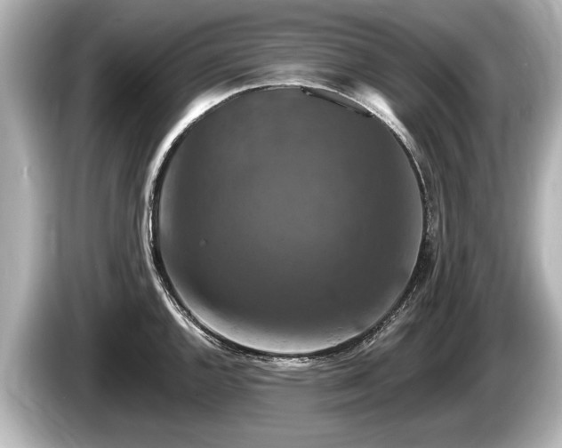 X0000085301144200703161429