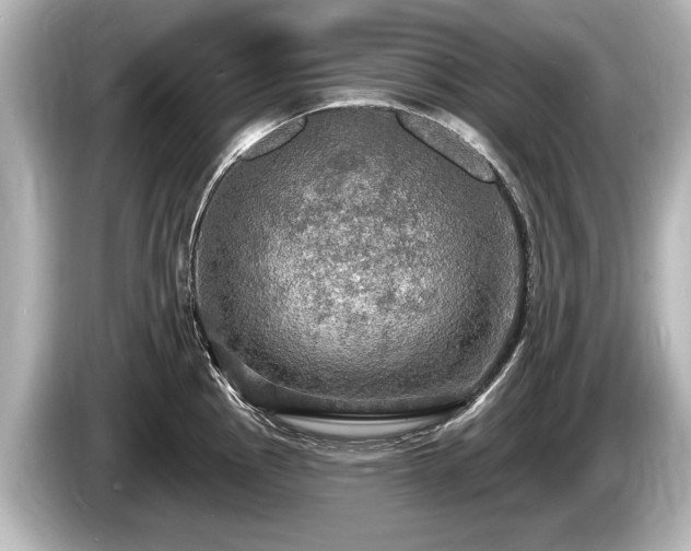 X0000085301145200703161429