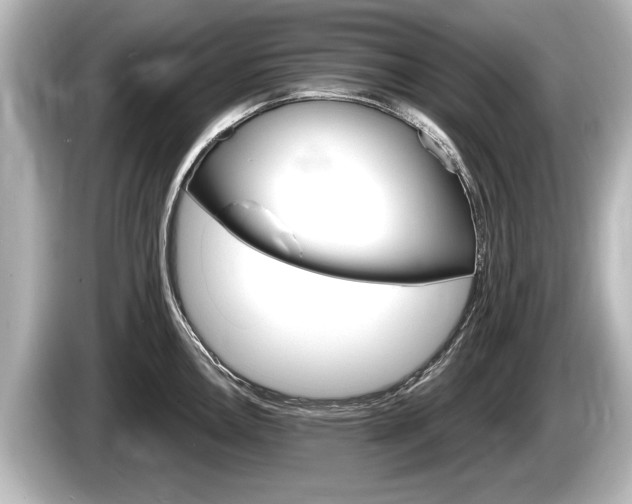 X0000085301146200703161429