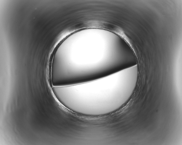 X0000085301147200703161429