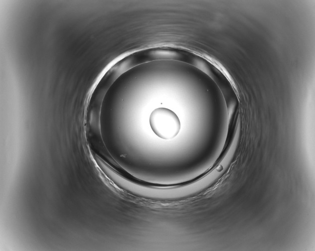 X0000085301148200703161429