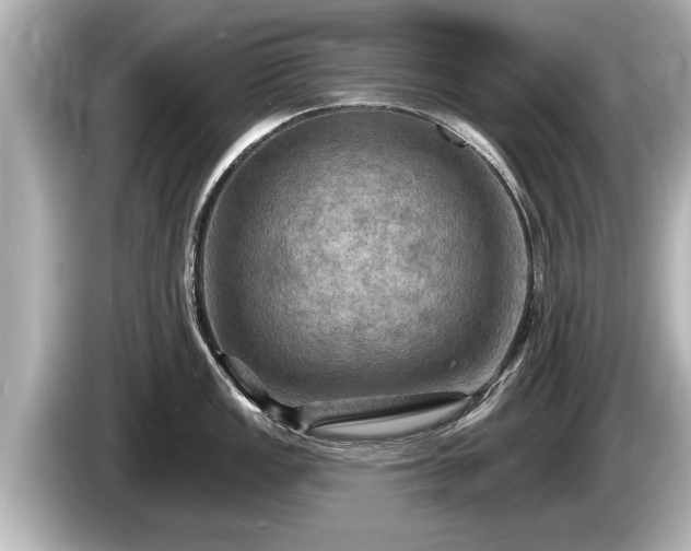 X0000085301149200703161429