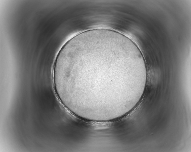 X0000085301150200703161429