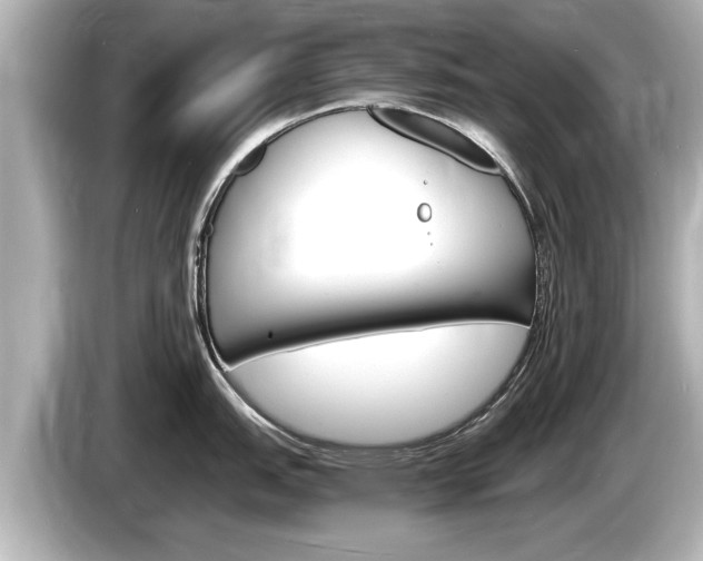 X0000085301151200703161429