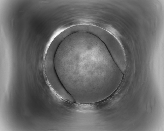 X0000085301152200703161429