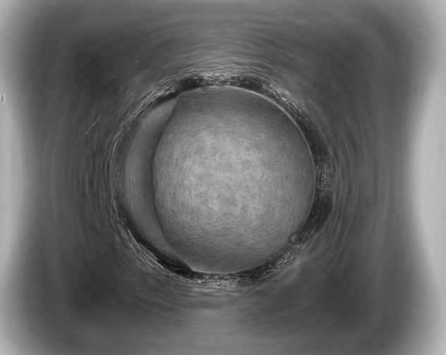 X0000085301153200703161429