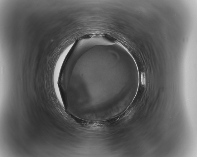 X0000085301155200703161429