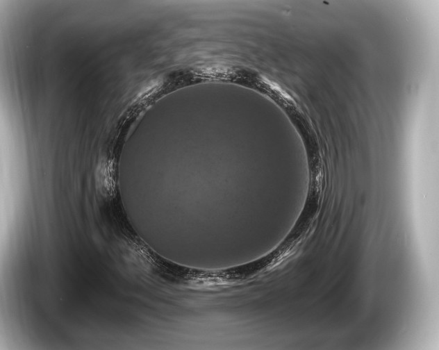 X0000085301156200703161429