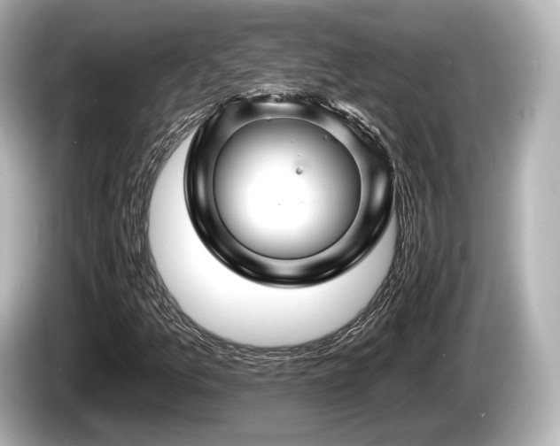 X0000085301157200703161429