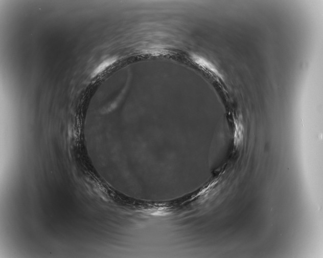 X0000085301158200703161429