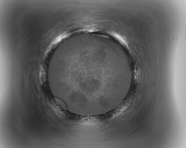 X0000085301159200703161428