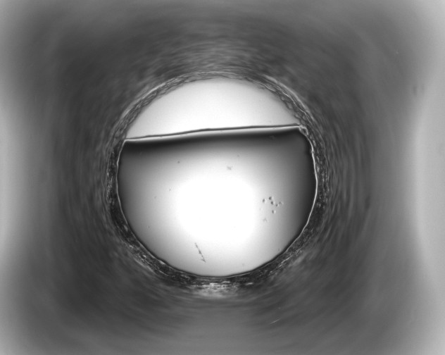 X0000085301160200703161428