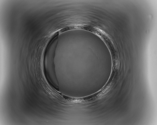 X0000085301161200703161428