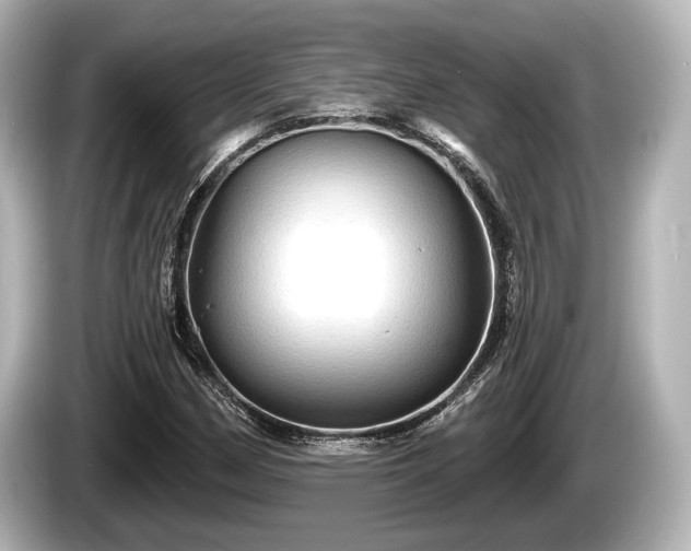 X0000085301162200703161428