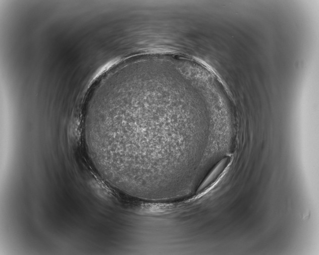 X0000085301163200703161428