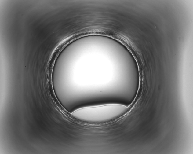 X0000085301164200703161428