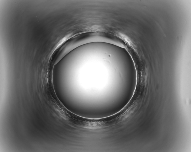 X0000085301165200703161428