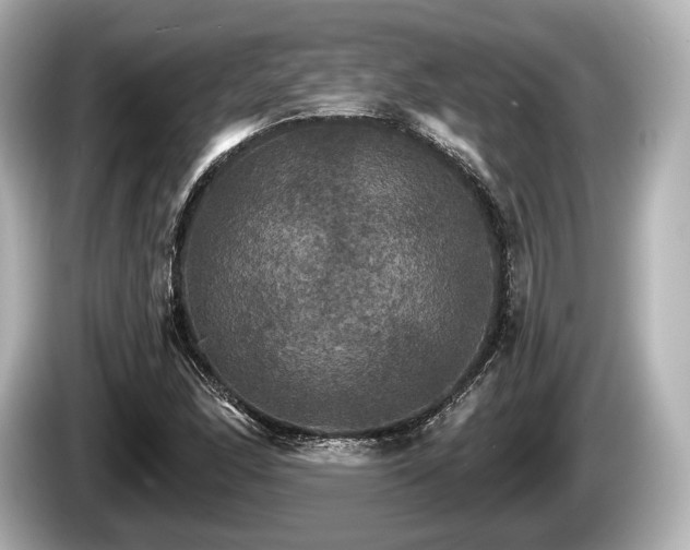 X0000085301166200703161428