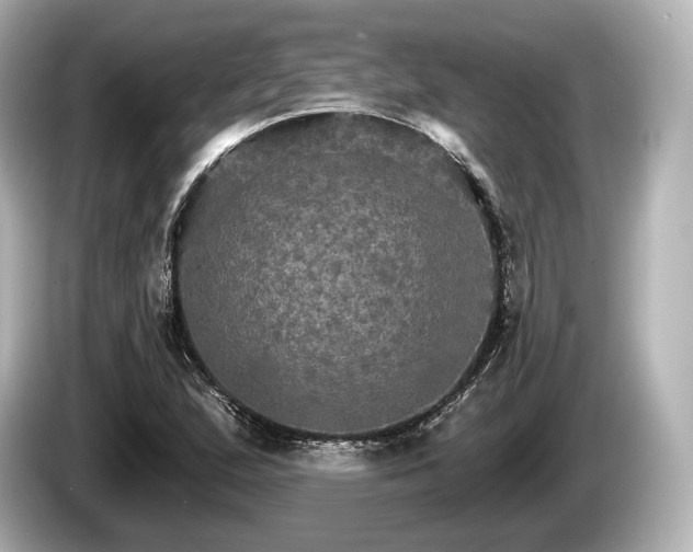 X0000085301167200703161428