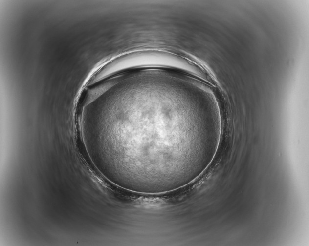 X0000085301168200703161428