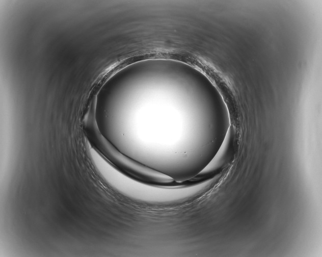 X0000085301169200703161428