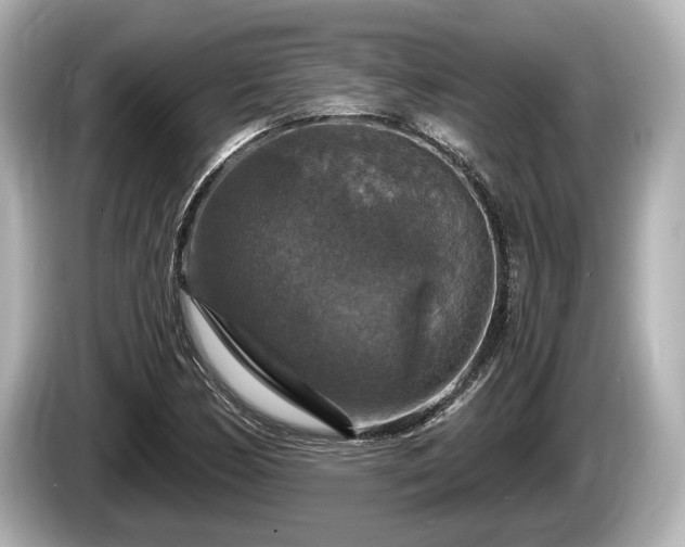 X0000085301170200703161428