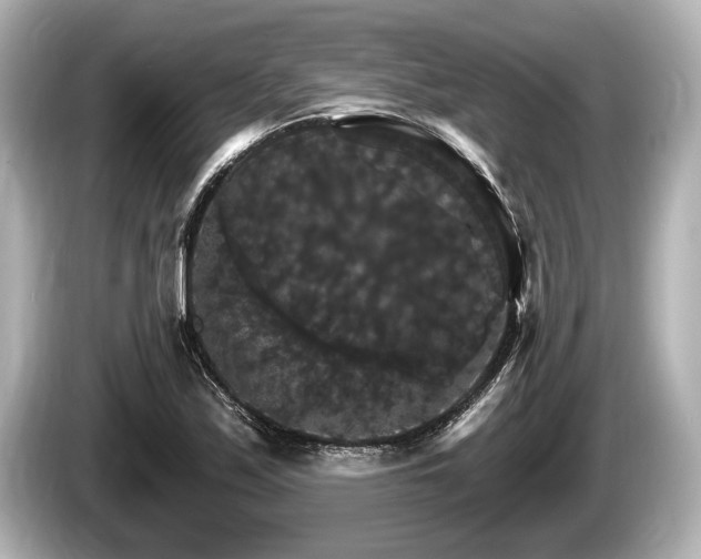 X0000085301171200703161428