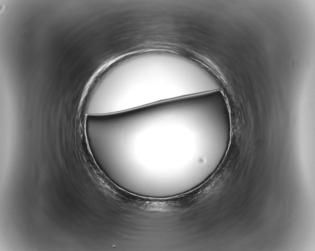 X0000085301172200703161428