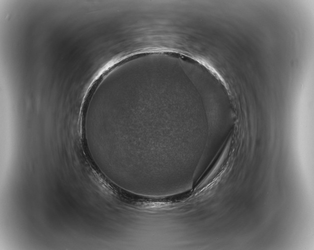 X0000085301173200703161428