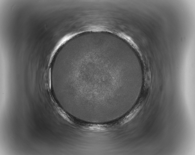 X0000085301175200703161428