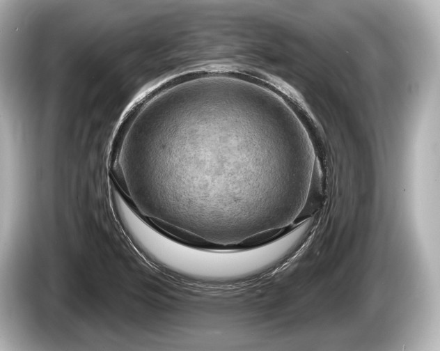 X0000085301176200703161428