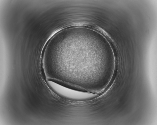 X0000085301178200703161428