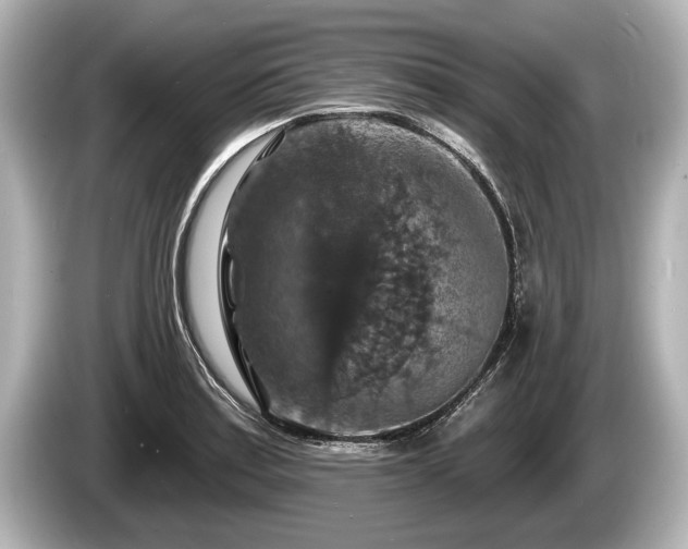 X0000085301179200703161428