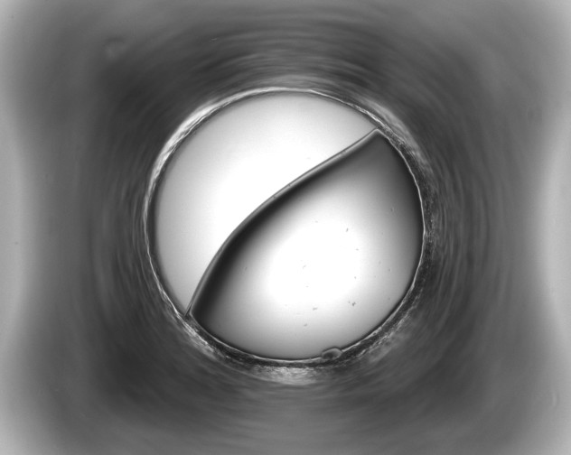 X0000085301180200703161428