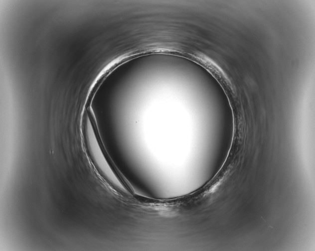 X0000085301182200703161428