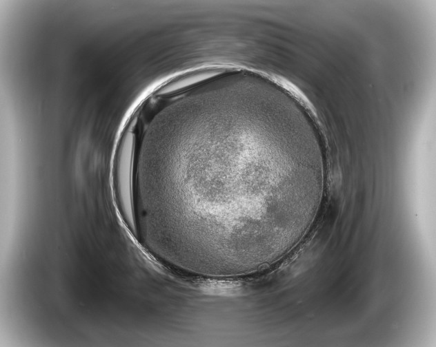 X0000085301183200703161428