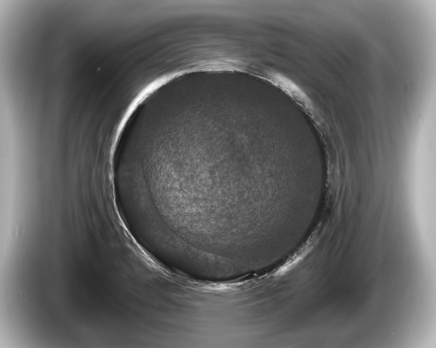 X0000085301184200703161428