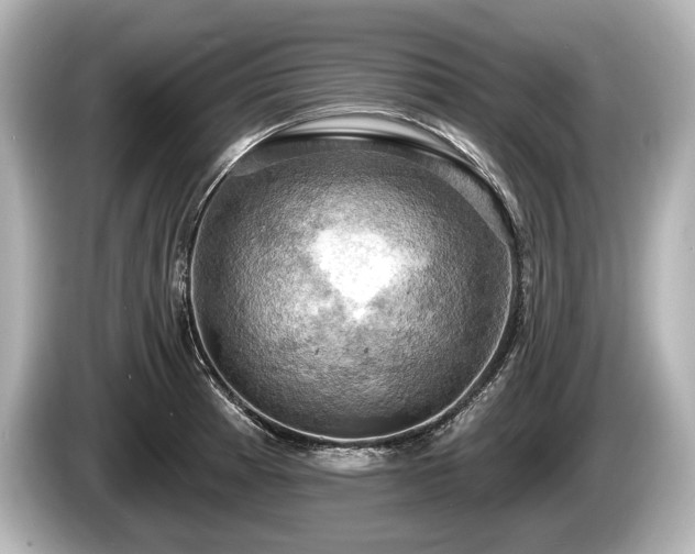 X0000085301185200703161428