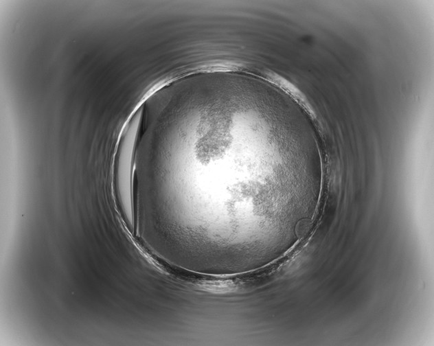 X0000085301186200703161428