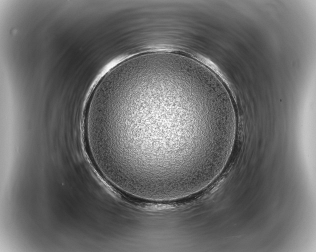 X0000085301187200703161428