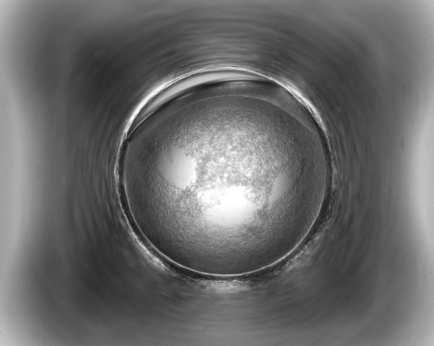 X0000085301189200703161428