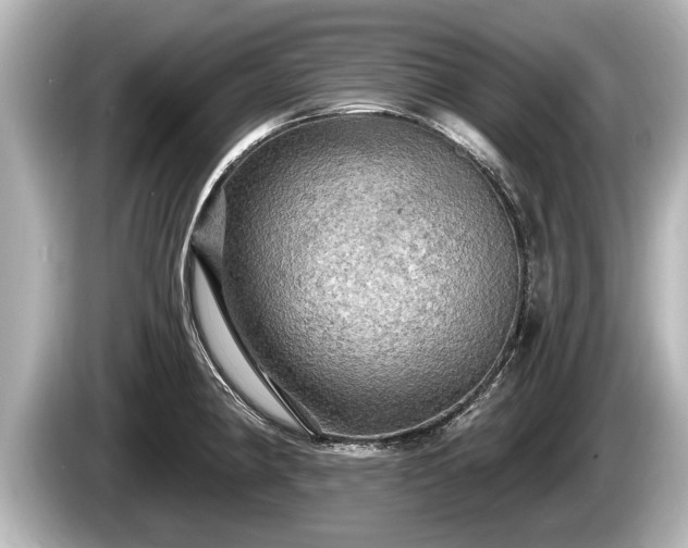 X0000085301190200703161428