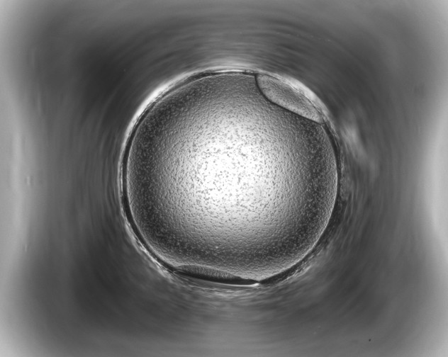 X0000085301191200703161428