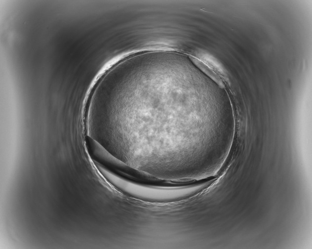 X0000085301192200703161428